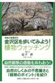 神奈川県横浜市金沢区を歩いてみよう！植物ウォッチング