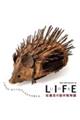 LIFE いのち