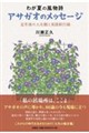 わが夏の風物詩 アサガオのメッセージ