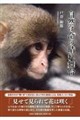自然は命の晴れ舞台