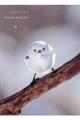 ӂ킱낱Ƃr@a@QOQT