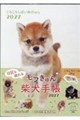 ころころしばいぬDiary 2027