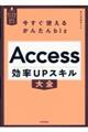 今すぐ使えるかんたんｂｉｚ　Ａｃｃｅｓｓ効率ＵＰスキル大全