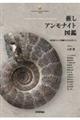 AiCg} \14l点鉻΂