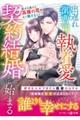 出遅れ御曹司の執着愛は契約結婚から始まる〜焦がれ続けた高嶺の花を、もう離さない〜