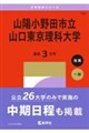�R�z����c�s���R���������ȑ�w�@�Q�O�Q�V