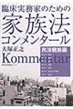臨床実務家のための家族法コンメンタール　民法親族編