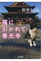 猫に引かれて善光寺