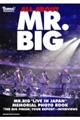 ＡＬＬ　ＡＢＯＵＴ　ＭＲ．ＢＩＧ