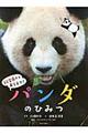 パンダのひみつ