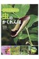 さがしてみよう！虫のかくれんぼ