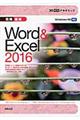 ３０時間アカデミック情報基礎Ｗｏｒｄ　＆　Ｅｘｃｅｌ　２０１６