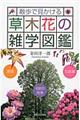 散歩で見かける草木花の雑学図鑑