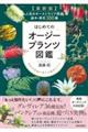 【最新版】オージープランツ図鑑