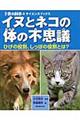 イヌとネコの体の不思議