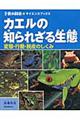 �J�G���̒m��ꂴ�鐶��