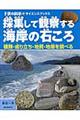 採集して観察する海岸の石ころ