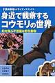 身近で観察するコウモリの世界