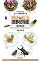 身近な昆虫識別図鑑 増補改訂新版