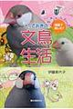 とっておきの文鳥生活