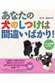 あなたの犬のしつけは間違いばかり！