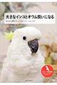 大きなインコとオウム飼いになる