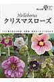 クリスマスローズ