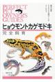 ヒョウモントカゲモドキ完全飼育