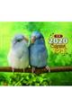 �~�j���J�����_�[�C���R�@�Q�O�Q�O�N