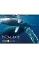 ワイド判カレンダー世界で一番美しいクジラ＆イルカカレンダー　２０２１年