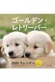 ゴールデン・レトリーバーカレンダー 2022