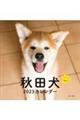 秋田犬カレンダー　２０２３