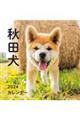 秋田犬カレンダー　２０２４