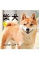 柴犬カレンダー 2026