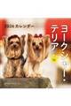 ヨークシャー・テリアカレンダー 2026