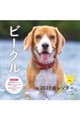 ビーグルカレンダー 2027