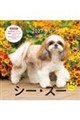 �V�[�E�Y�[�J�����_�[�@�Q�O�Q�V