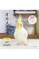 オカメインコカレンダー 2027