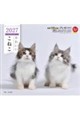 かわいいこねこカレンダー 2027
