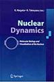 Ｎｕｃｌｅａｒ　ｄｙｎａｍｉｃｓ