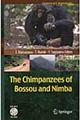 Ｔｈｅ　ｃｈｉｍｐａｎｚｅｅｓ　ｏｆ　Ｂｏｓｓｏｕ　ａｎｄ　Ｎｉｍｂａ