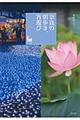�ޗǂ̒������A���V��