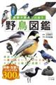 散歩や旅先で出会う野鳥図鑑