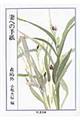 �Ȃւ̎莆