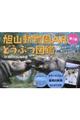 ���R�������`�q�ǂ��Ԃ}�Ӂ@��Q��