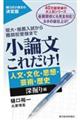 小論文これだけ！　人文・文化・思想・芸術・歴史深掘り編