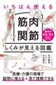 いちばん使える 筋肉と関節しくみが見える図鑑