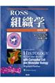 Ross組織学 原書第7版