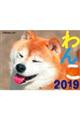 �i�s�a�̃J�����_�[��񂱁@�Q�O�P�X