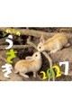 JTBのカレンダーふわふわうさぎ 2027